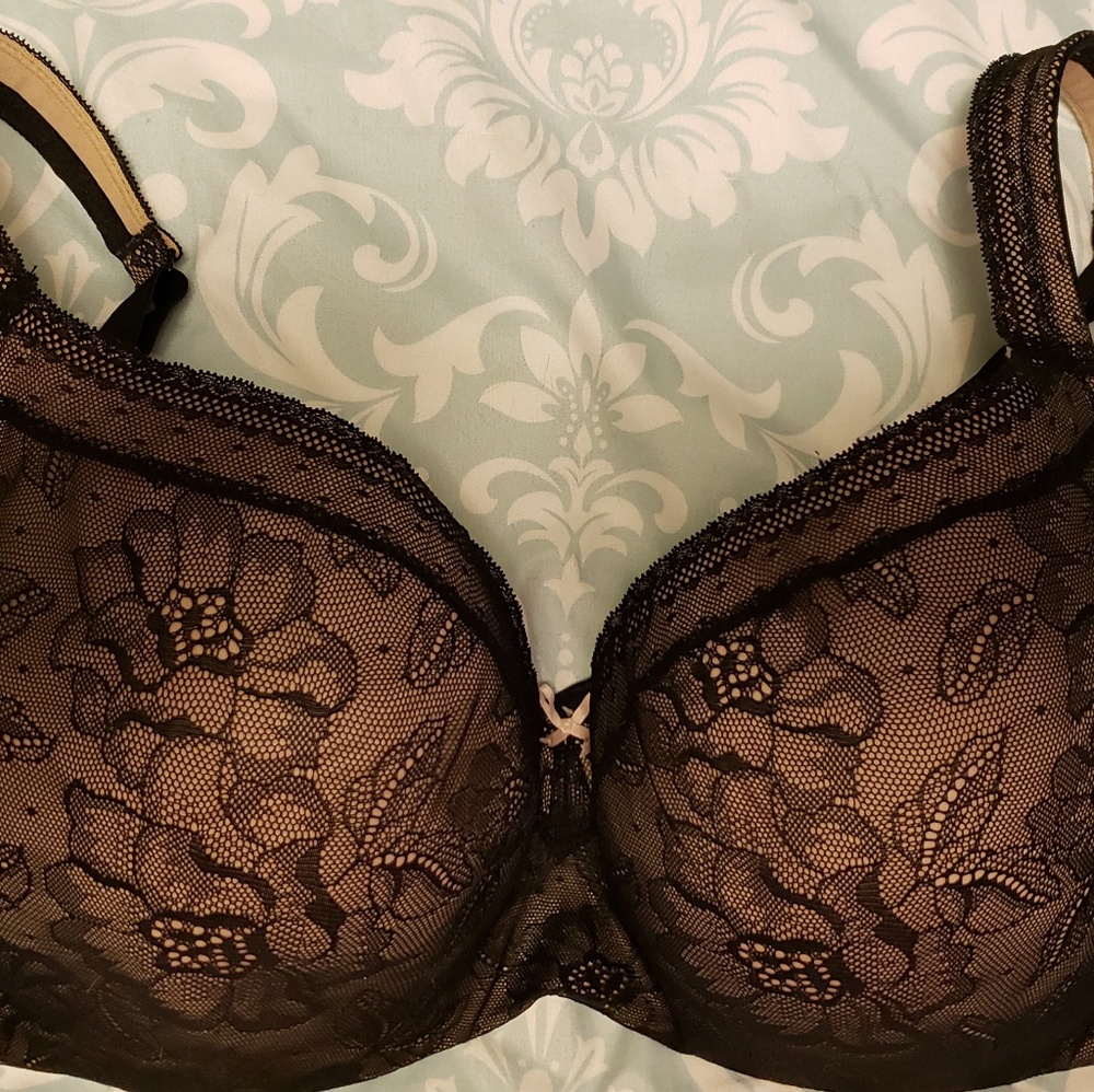 Modern Lace Lightly Lined Balconette